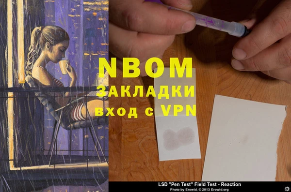 Альфа ПВП Няндома