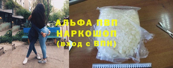 Альфа ПВП Няндома