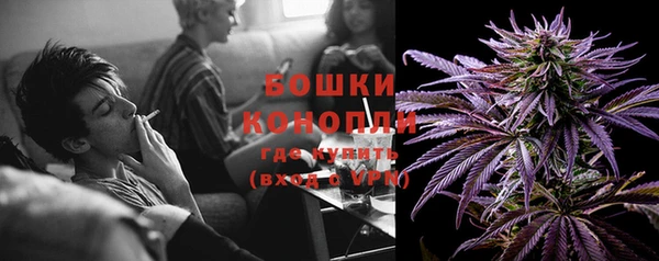 Альфа ПВП Няндома