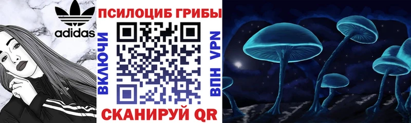 Галлюциногенные грибы GOLDEN TEACHER Кукмор